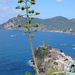 Cinque terre 10