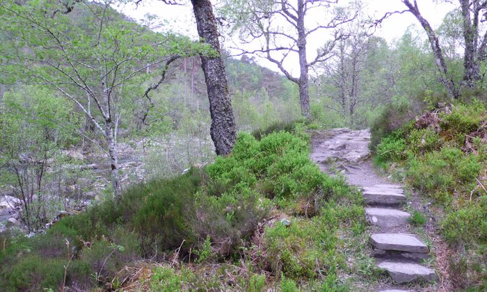 Glen affric