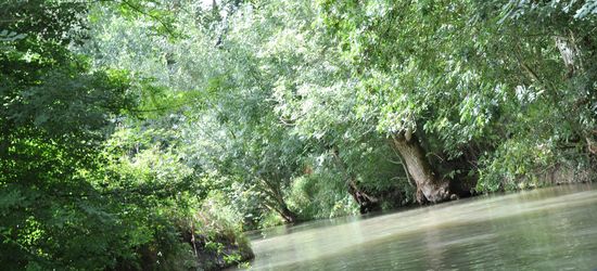 Marais poitevin