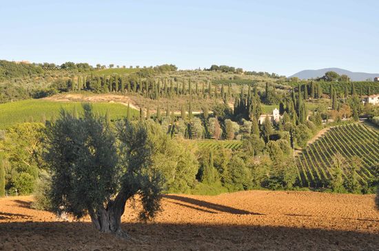 Page de garde harvest monn