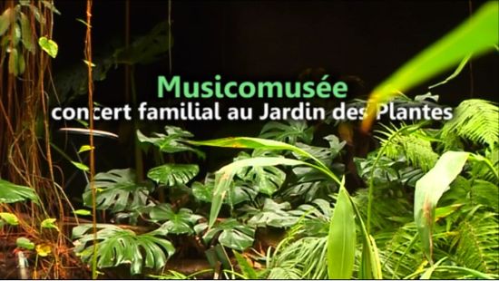 Musicomusée Visuel